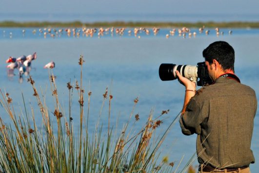 Birdwatching